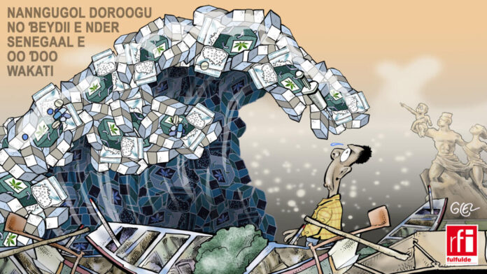 RFI_senegal_saisie_drogue_fulfulde.jpg