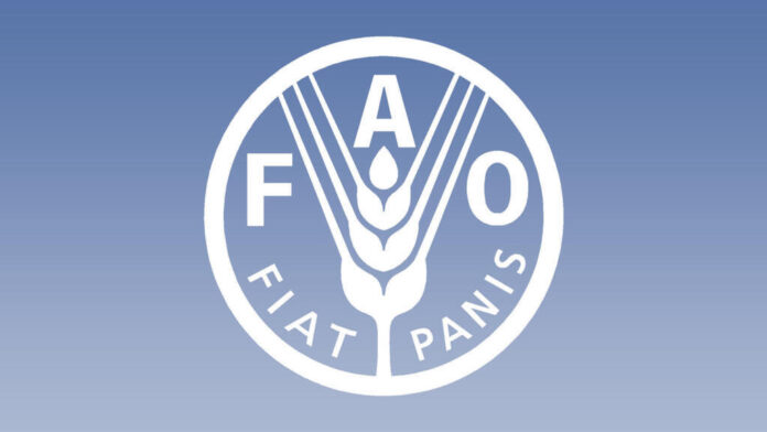 FAO_logo_0.jpg