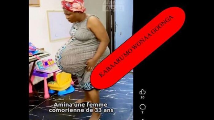 AMINA-PP.jpg