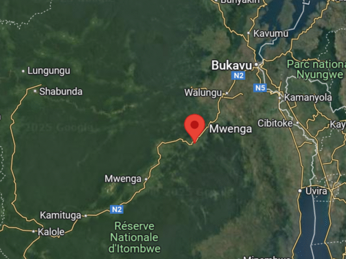 Mwenga.png