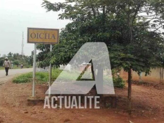 OICHA20RN4.jpeg