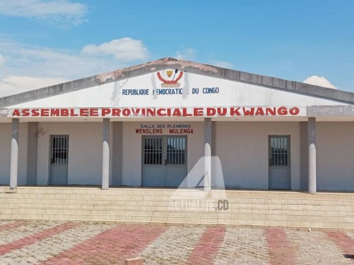 AssemblC3A9e20provinciale20du20Kwango20.jpg