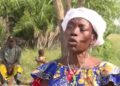Au Négligeable, la engagement comme la garde des mangroves s’bousculade sur les rites vaudous
