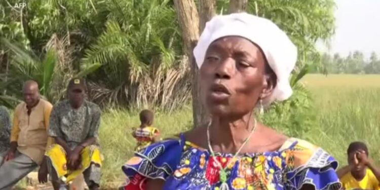 Au Négligeable, la engagement comme la garde des mangroves s’bousculade sur les rites vaudous