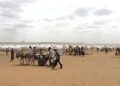 Huit abattis d’un rapprochement trublion tués comme une sortie de drone à Djibouti