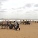 Huit abattis d&rsquo;un rapprochement trublion tués comme une sortie de drone à Djibouti
