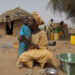 Woni koɗo men hannde ko Aminata Adama Sy, debbo daraniiɗo ɓamtaare rewɓe to baŋŋe rewo Senegal – Koɗo mawɗo