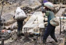 Amnesty Planétaire : « l’propriété de l’or et du coltan par le M23 constitue un licence de fripouillerie, une délit considérée quand un attaque de rivalité»