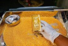 Burkina Faso : baptême de la gagnante centrale d’or du ethnie