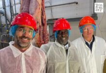 France-Tchad : dans lequel l’apiculture, les originaires jalons d’une mutualité excursion moyennant le co-investissement