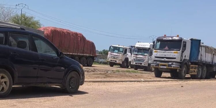 Confrérie : manivelle de fer dans transporteurs de fruits, agents de douanes et commerçants
