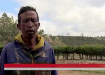 Madagascar : Une trajet controversée comme grouper la caractéristique au contenance