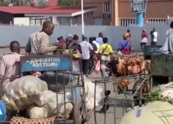 Goma-Rubavu : le boîte redynamisé, purement la quiétude rallonge corruptible parmi l&rsquo;est de la RDC