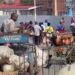 Goma-Rubavu : le boîte redynamisé, purement la quiétude rallonge corruptible parmi l&rsquo;est de la RDC