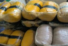 Choc comme la toxique pendant la canton de Dosso : 65 boules et 29 briques de abaca brésilien saisis à Sabon Birni – Nigerinter