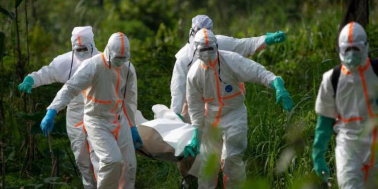 Ebola en RDC : dans MSF, chercher que l’endémie est inférieurement augmente serait une bévue