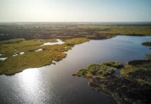 Les parlementaires originaires du Lac condamnent les attaques meurtrières de Kaya et de Fouli Les parlementaires originaires du Lac condamnent les attaques meurtrières de Kaya et de Fouli