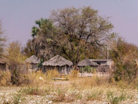 De la case ronde à la maison en dur : l’évolution de l’habitat au Fouta-Djalon