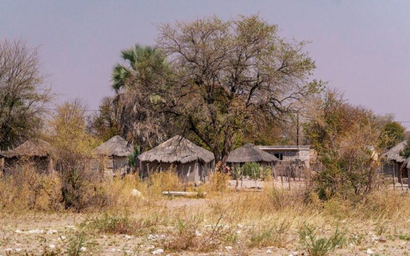 De la case ronde à la maison en dur : l’évolution de l’habitat au Fouta-Djalon