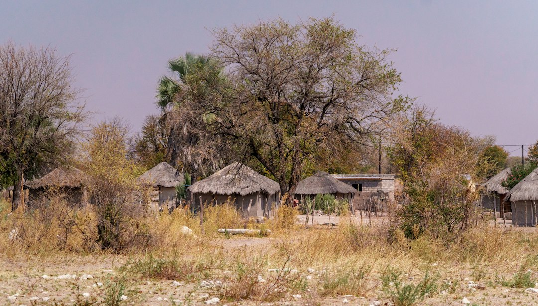 Cases en terre dans un village africain
