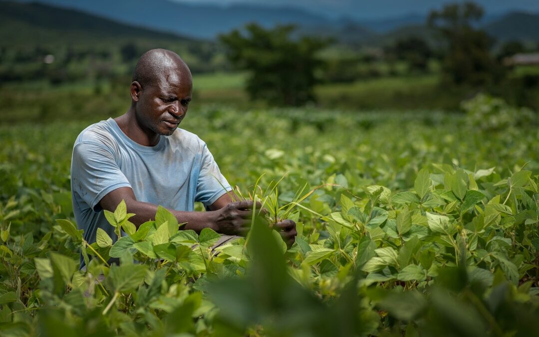 Agriculteur africain dans son champ pendant la saison des cultures