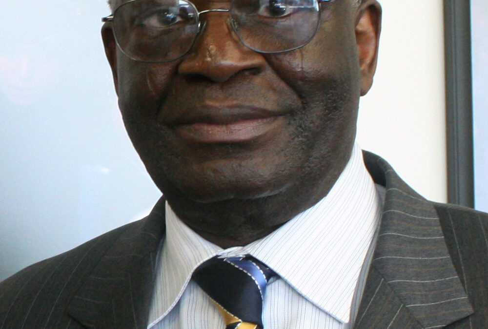 Ibrahim Gambari, diplomate nigérian et ancien secrétaire général adjoint des Nations unies