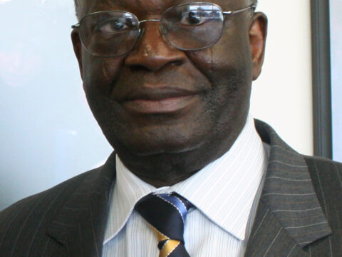 Ibrahim Gambari, d’Ilorin aux Nations unies : le parcours d’un diplomate issu d’une famille peule