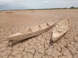 L’émirat du Liptako et Dori : deux siècles d’histoire peule au cœur du Sahel burkinabè