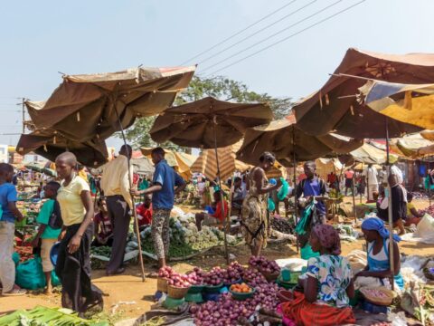 Lait, beurre et marché : le rôle économique méconnu des femmes peules