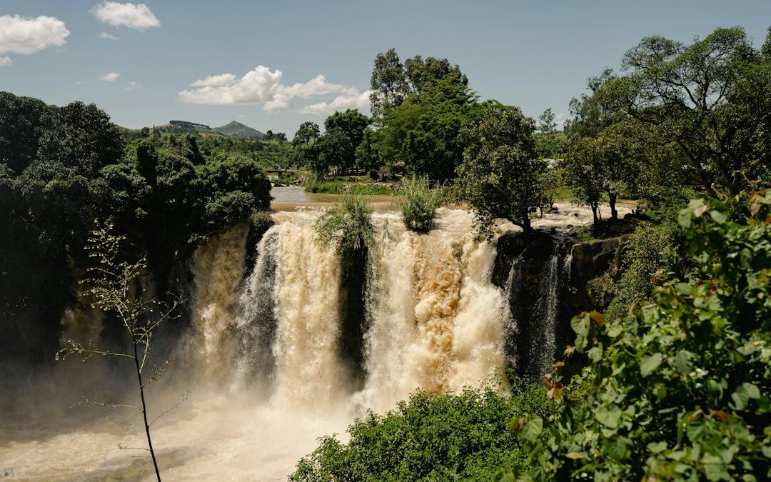 Chute d’eau au milieu d’une forêt tropicale