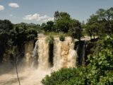 Chutes, falaises et forêts : six merveilles naturelles du Fouta-Djalon
