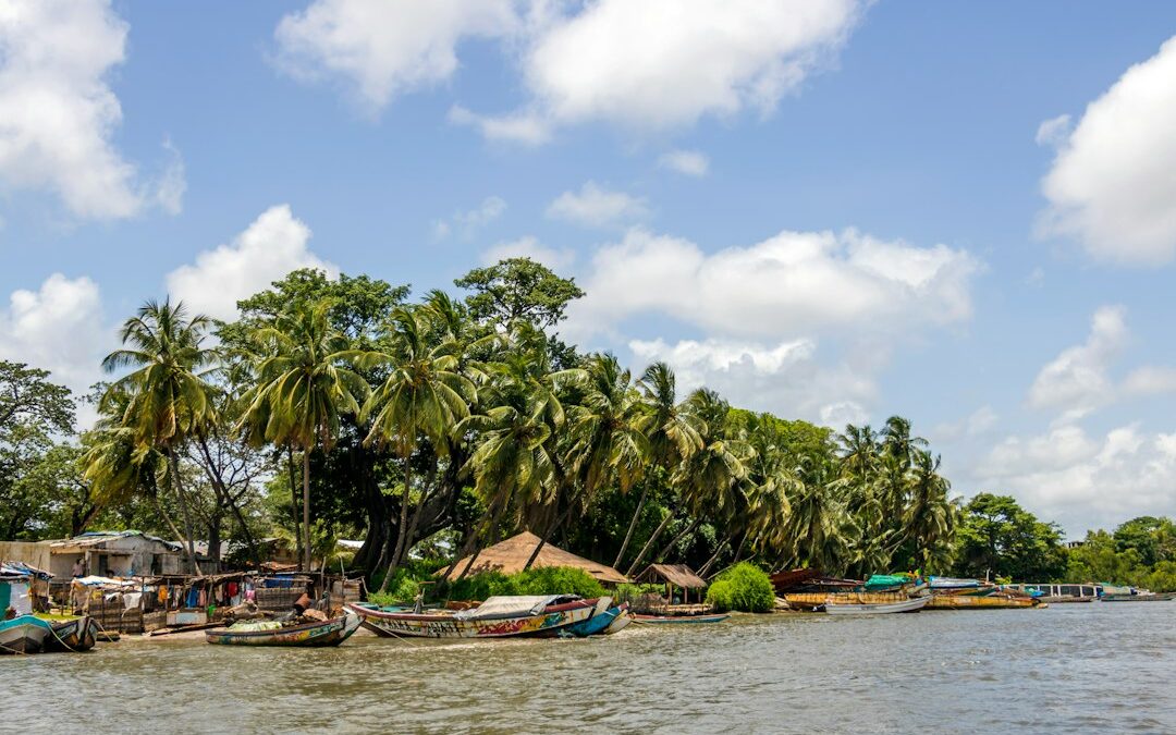 Pirogues au bord de l’eau à Elinkine, au Sénégal (illustration)