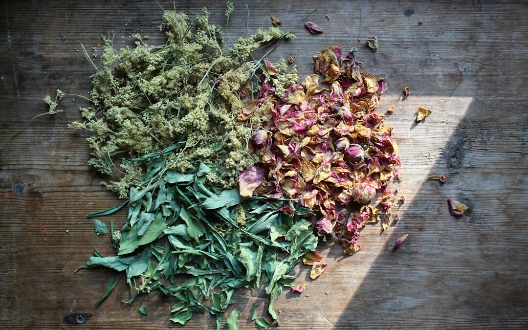 Collection de plantes et d’herbes séchées