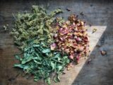 Plantes et remèdes traditionnels au Fouta-Djalon : un savoir à transmettre avec prudence
