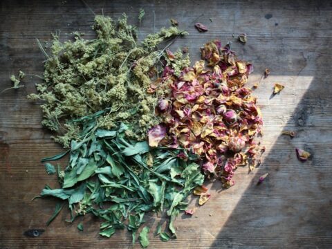 Plantes et remèdes traditionnels au Fouta-Djalon : un savoir à transmettre avec prudence