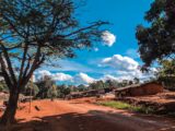 Le fulfulde au nord du Cameroun : une langue peule devenue langue de tous