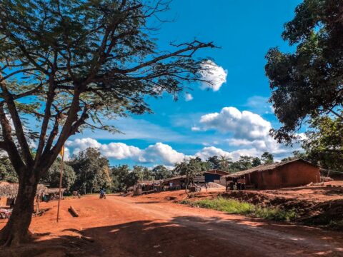 Le fulfulde au nord du Cameroun : une langue peule devenue langue de tous