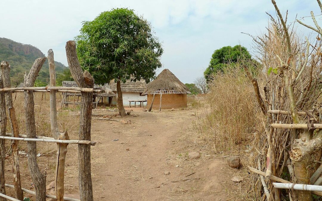 Village du sud du Sénégal (illustration)