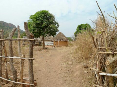 Le Fuladu d’Alfa Molo et de Moussa Molo : le royaume peul entre Casamance, Gambie et Guinée-Bissau