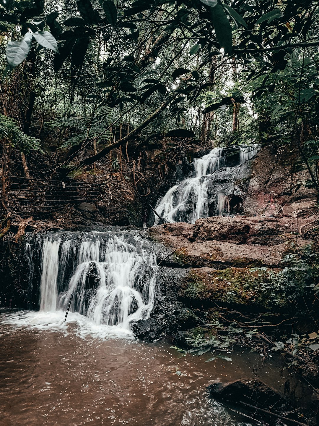 Le Fouta-Djalon, château d’eau de l’Afrique de l’Ouest