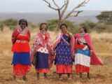 Les Maasai du Kenya et de la Tanzanie : élevage, rites et traditions