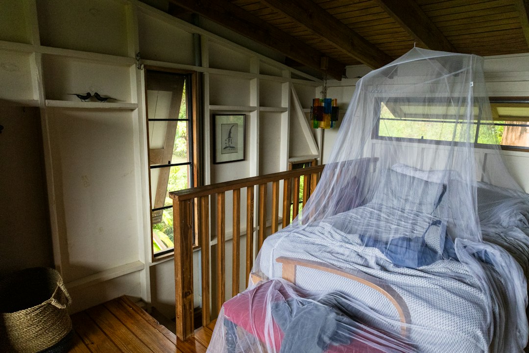 Paludisme : les bons gestes pour protéger sa famille pendant la saison des pluies